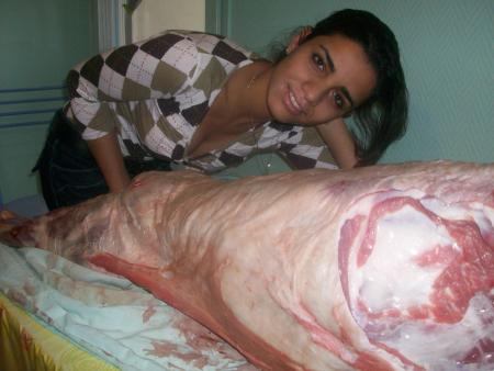 had sebah sabeha 3la lhaweli hwa lawel